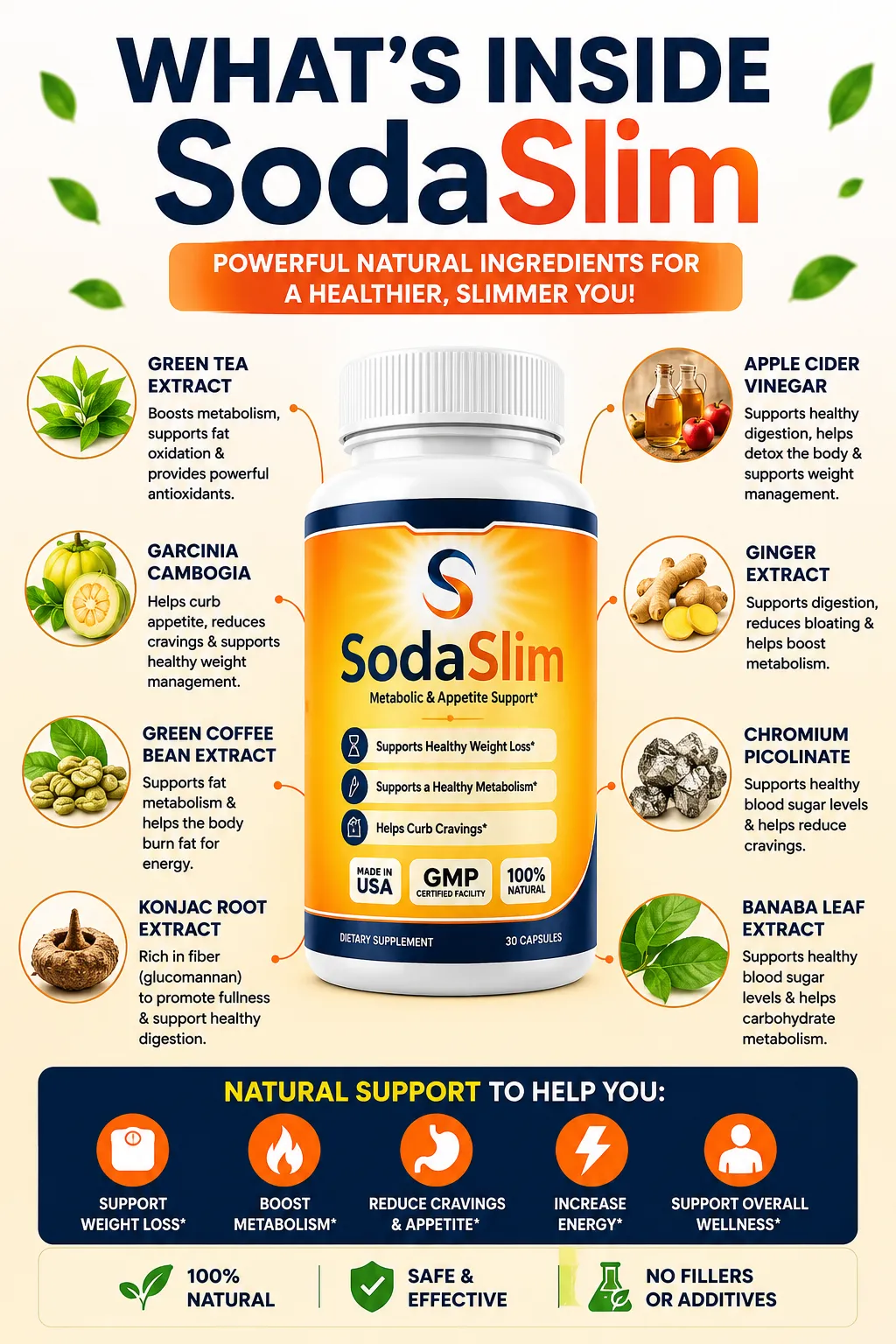 SodaSlim ingredient support overview
